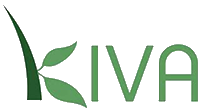 kiva